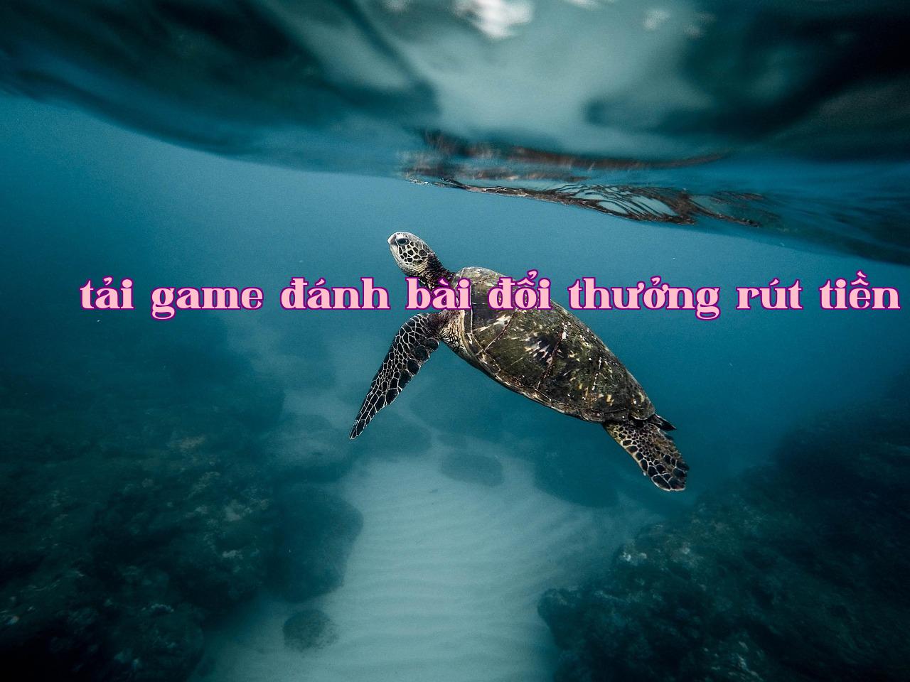 /imgposts/igfw7d85.jpg