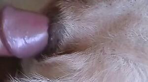 Bestiality porn video